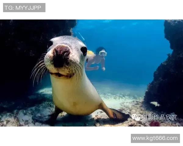 足球明星与海洋奇遇记高清抱鱼瞬间展现运动与自然的完美结合